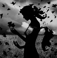 151D1E67-702D-49D1-B9FD-96FAE1142485.webp