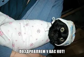 u5pzTziXHW8.webp