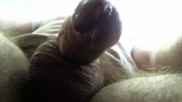 1399274267-00010744.webp