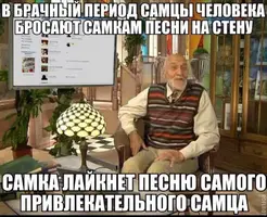 r35544rr46_47.webp
