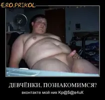 482.webp