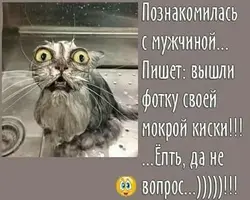 26001022_181968232539197_4121013576543807352_n.webp