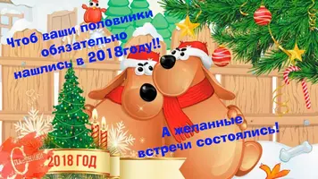 14.webp