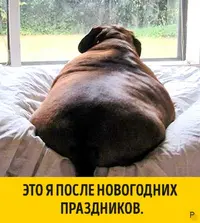 1450239673_c13.webp