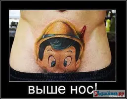47a5a9d0cce1af5b8d5d4dd470bd5a20.webp