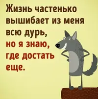 IMG_20180107_212010.webp