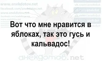 25452.webp