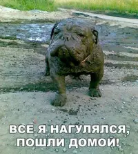 IMG_20180119_213650_0.webp