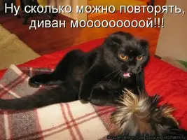 1055274.webp