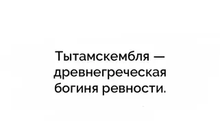 IMG_0779.webp