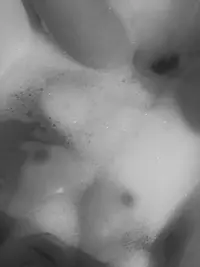 F9559D69-4C65-4224-B922-D531D47C90E5.webp