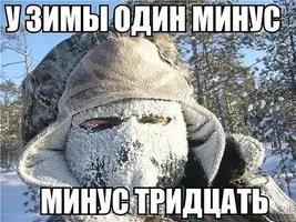 16630357.webp