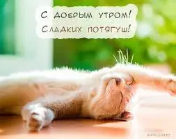 images.webp