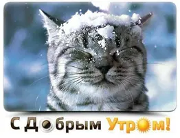 IMG-20180125-WA0003.webp