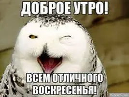 1399571_800.webp