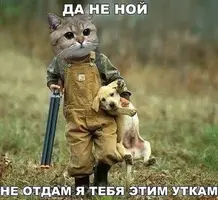 IMG_20180126_150716.webp