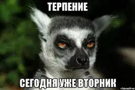 images (1).webp