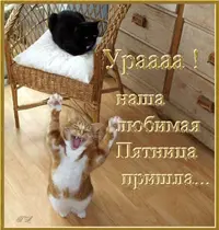 9193261d8f7c.webp