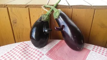 0_155f8f_7e84bd33_XL.webp