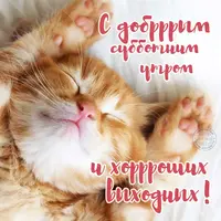 dobroe-utro-125.webp