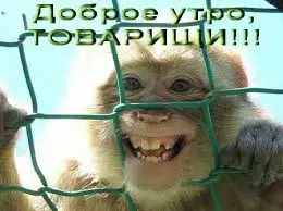 images.webp