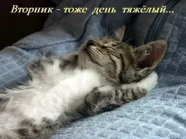 801b8065d115.webp