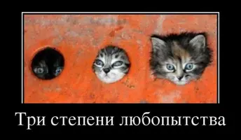 1335779680_27.webp