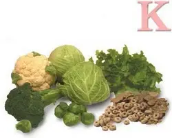 93501605_4278666_vitamin_K.webp 93501605_4278666_vitamin_K.webp