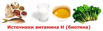93501608_4278666_vith.webp 93501608_4278666_vith.webp