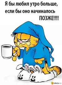 51311_900.webp