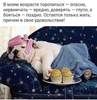 37417950-0DEA-4170-9DD2-0B64E4B2420A.webp