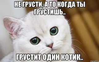 v-mire-grustit-odin-kotik_36230451_big_.webp