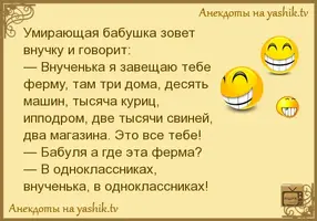 9 (20).webp