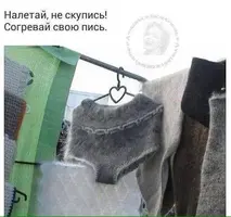 IMG-20180211-WA0014.webp