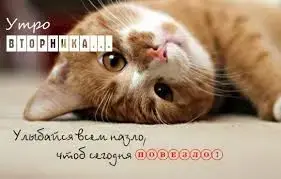 images (1).webp