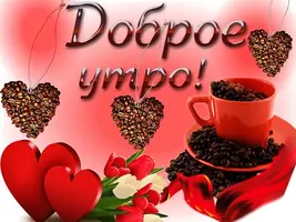 d808c9178c352hafc25a5m56hmad50dl.webp
