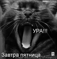 747738.webp