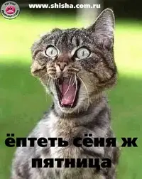 79950530_49945111_40942688_37873654_32433433_kuytgh.webp
