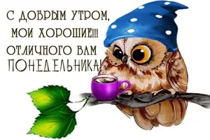 image (3).webp