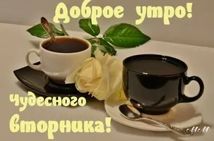 133193038_3768849_vtornik.webp