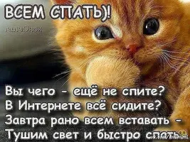 xNTXe41npV.webp
