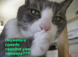 4257654-0b0edca487e43588.webp