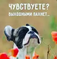 images.webp