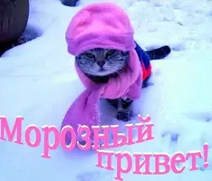 219333E6-5E05-4C90-9F30-FF4B085E0B91.webp