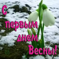 4373082_m.webp