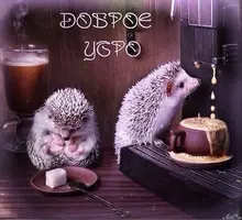 MnydTsmZJJ.webp