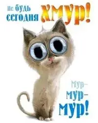 images (5).webp