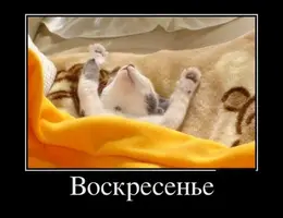 810403ce3f85d45b78a2d2915a4835f2_acc.webp
