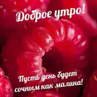 images (1).webp