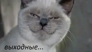 Без названия.webp